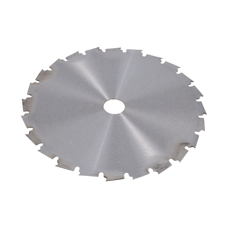 Dysk 24t Tip